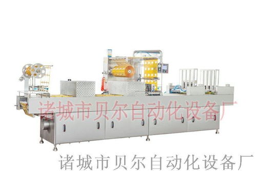 全自動(dòng)拉伸膜食品包裝機(jī)械 真空包裝機(jī) 山東廠家直銷